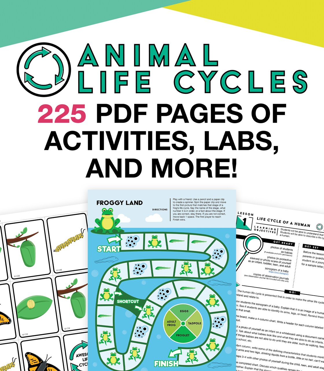 Carson Dellosa In A Flash Animal Life Cycle Instructional Resources—Flash Drive With Lessons, Journal, Templates, Posters, STEM Challenge, Life Cycle Charts, Animal E-Books, Grades K-2 (225 pgs)
